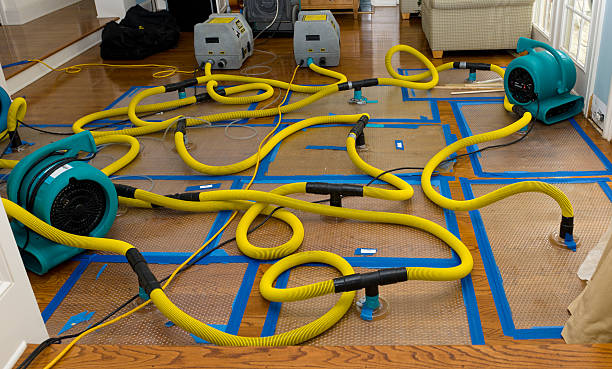 Professional Storm Water Damage Restoration technician working in Princeton, MA